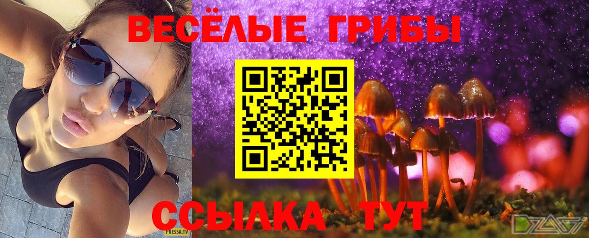 Качканар  Псилоцибиновые грибы прущие грибы  Галлюциногенные грибы мухоморы  Вход с VPN 
